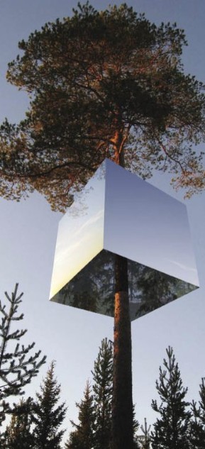 tree architecture